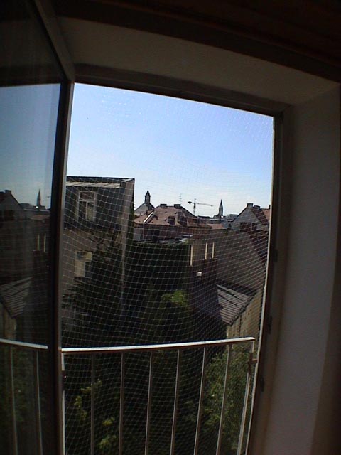 DSC0005
