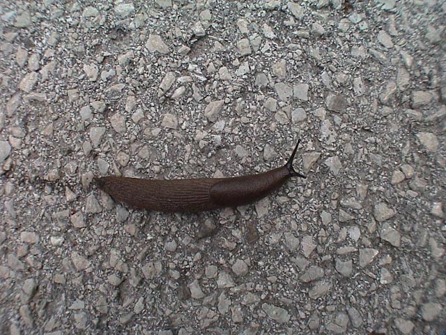 DSC00012